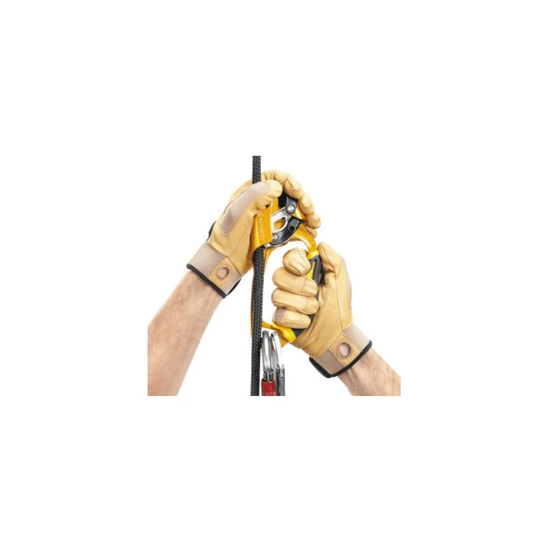 PETZL Ascension – Image 3