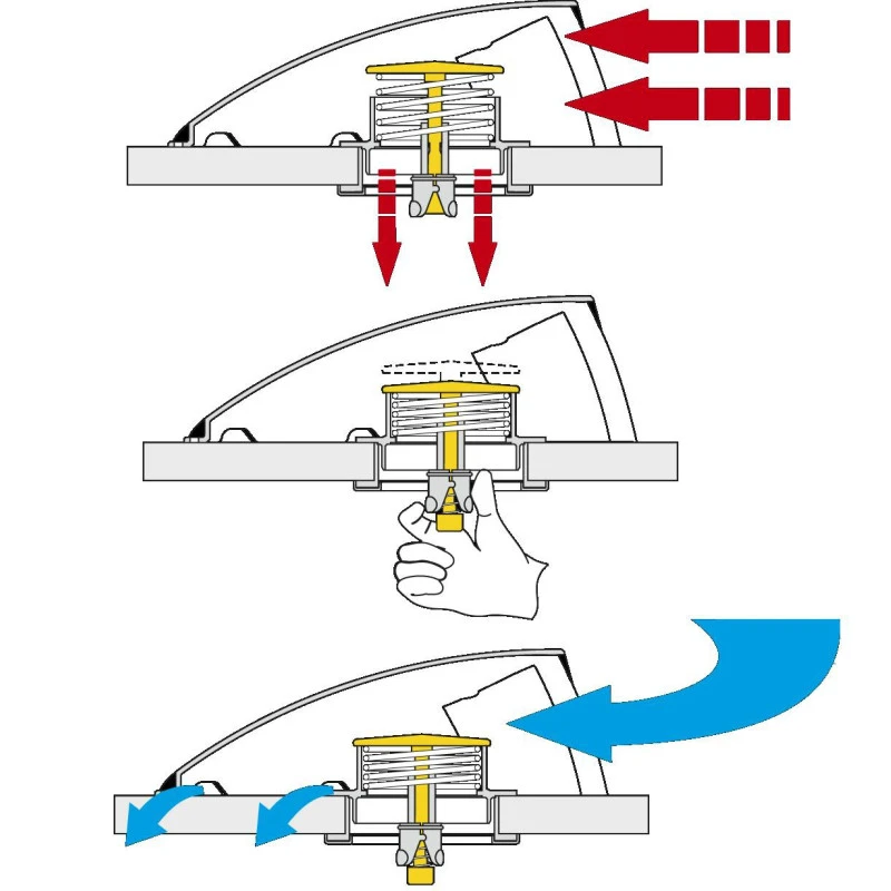 PLASTIMO Boite Dorade Profilée – Image 4